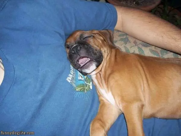 Just Sleeping A Bit