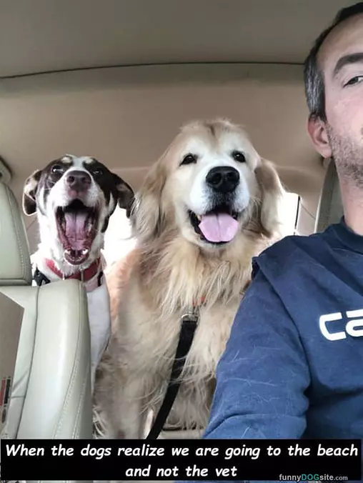 Going To The Beach