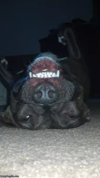 Funny Smile