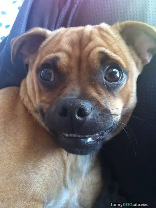 Having A Smile