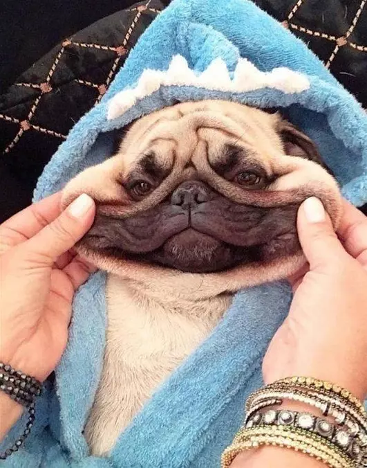 Smile Big