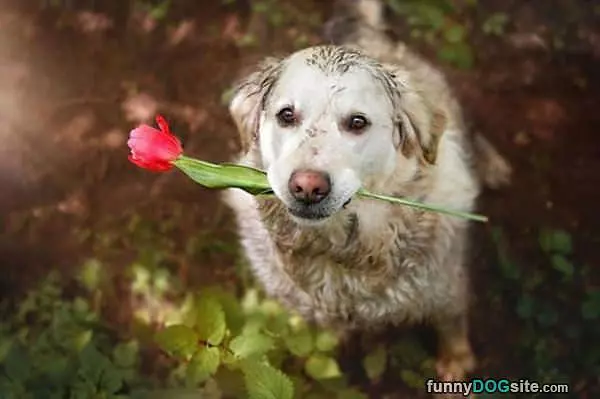 Got This For You
