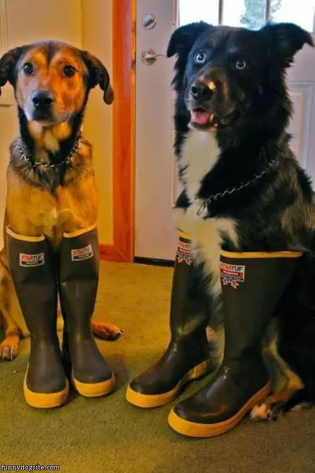 Work Boots On
