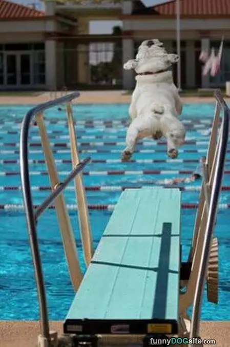 Jump For It