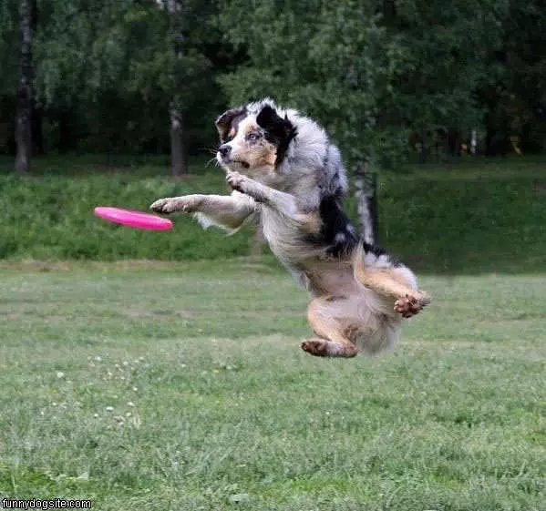 He Can Fly