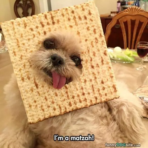 Ima Matzah