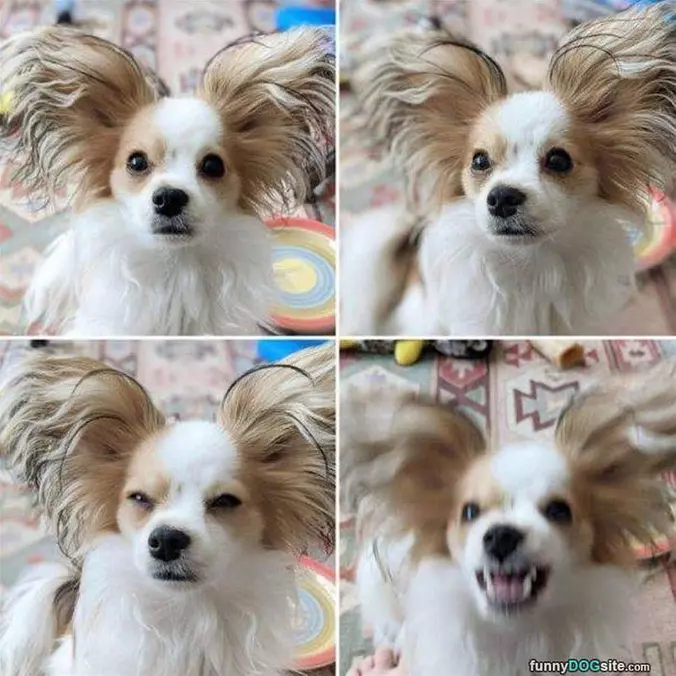 4 Moods