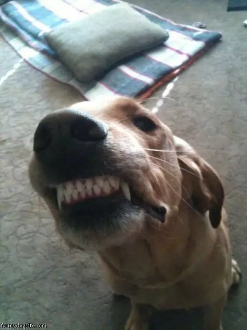 Smiiiile