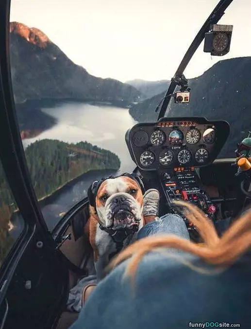 Nice View Up Here