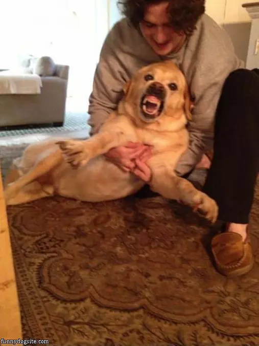 I Said No Pictures