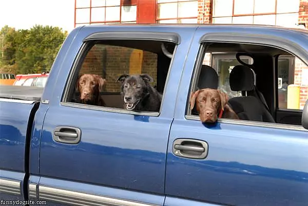 Time For A Ride