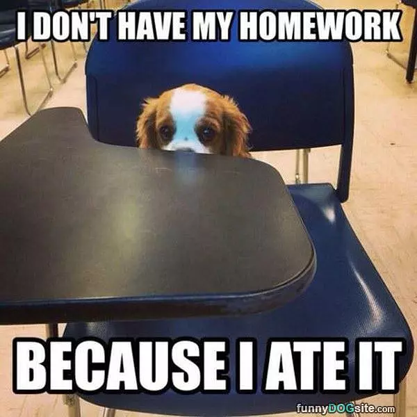 I Dont Have My Homework