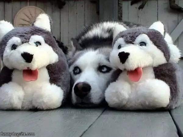 Hiding Away