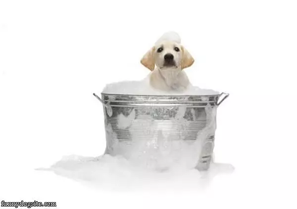 Taking A Bath