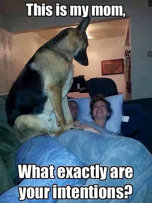 A True Guard Dog