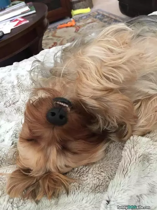 This Is Soooo Comfy