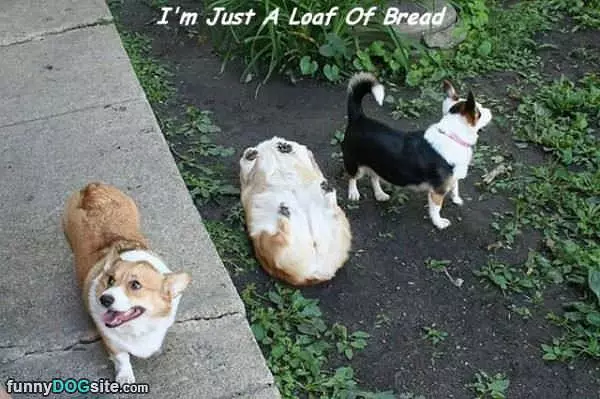 Just A Loaf