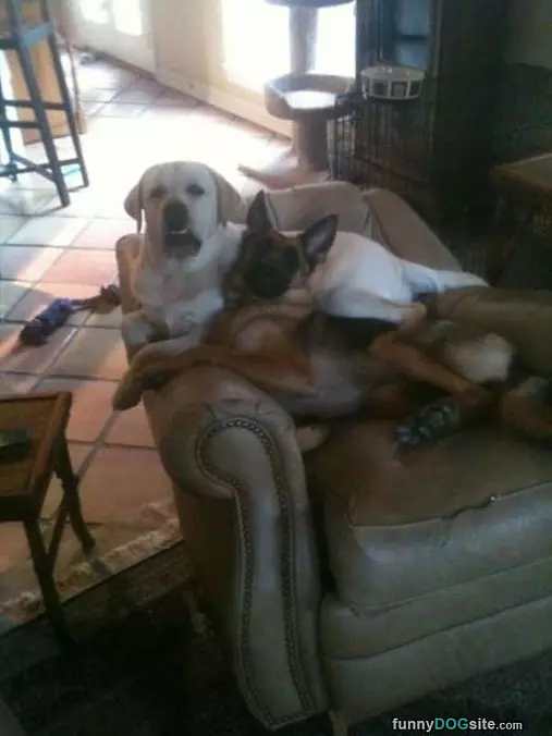 Sharing The Couch