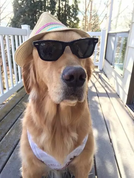 I Wear My Sunglasses
