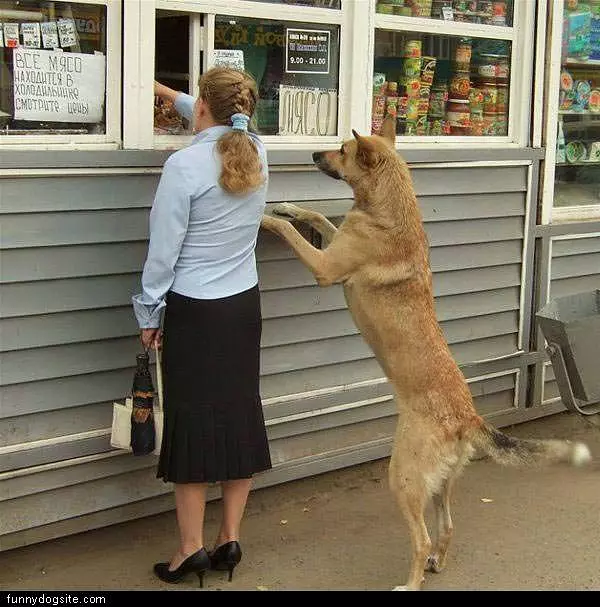 To Go Please
