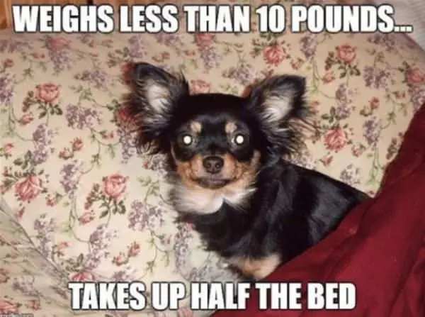 Half The Bed