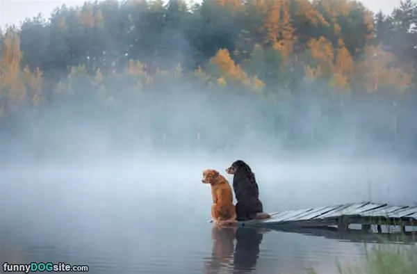 End Of The Dock