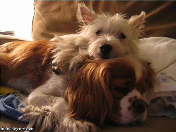Sleep How We Want