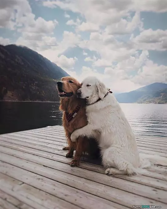 Give Me A Hug