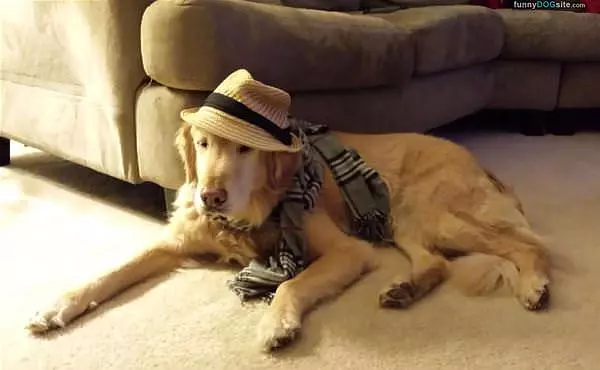 All Dressed And Ready To Go
