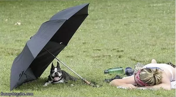 Staying Cool Today