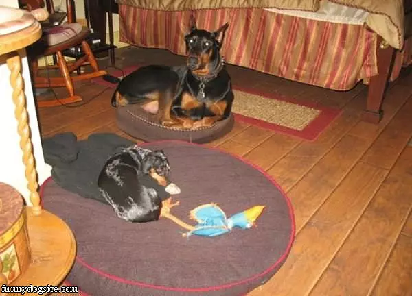 Traded Beds