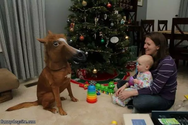 The Horse Dog