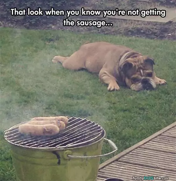 That Look You Make