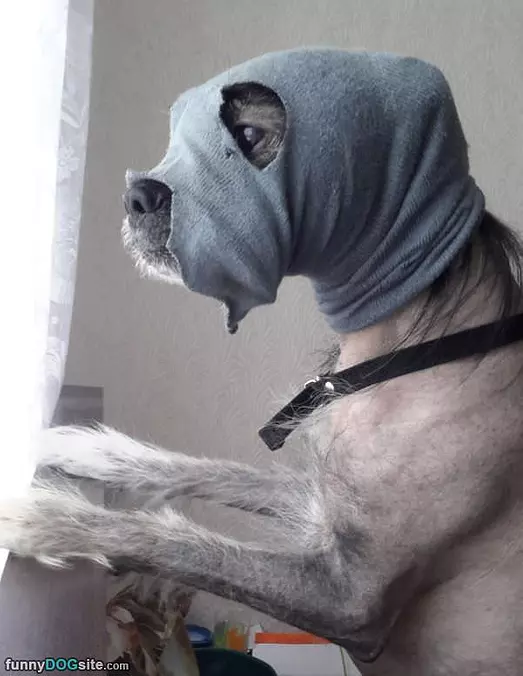 I Am Ready