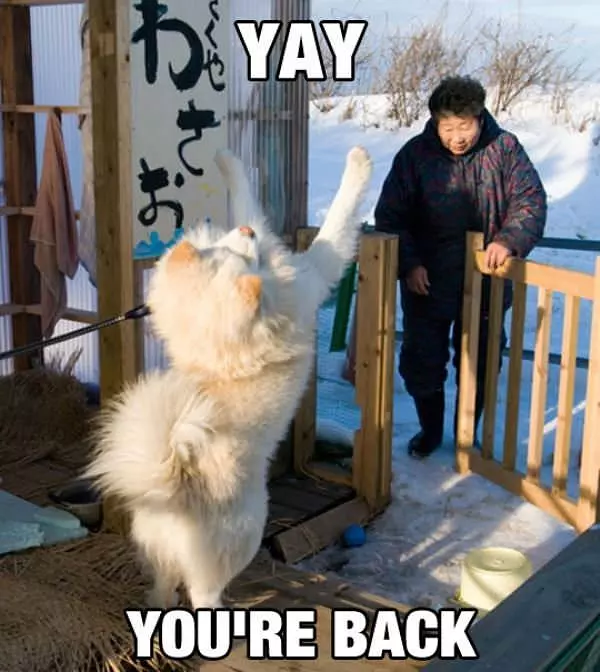 Yay Your Back