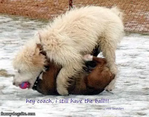 Hey Coach