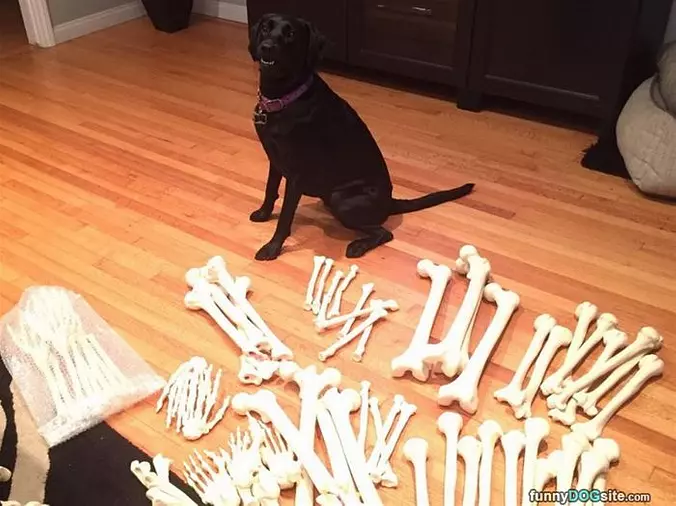 The Bones
