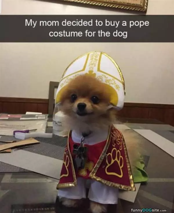 Mom Got A Pope Costume For The Dog