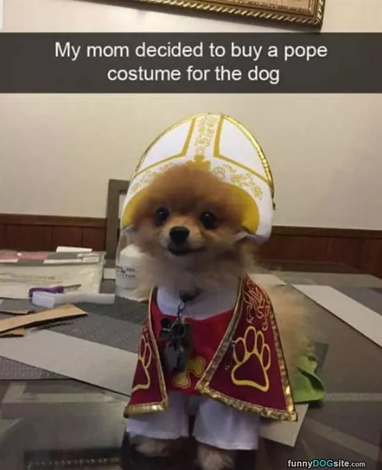 Mom Got A Pope Costume For The Dog