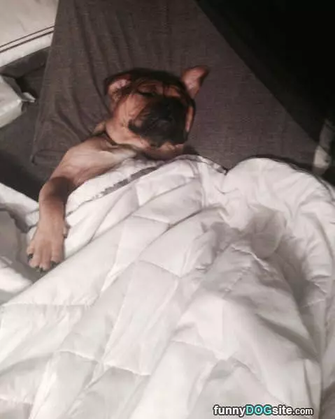 Chillllin