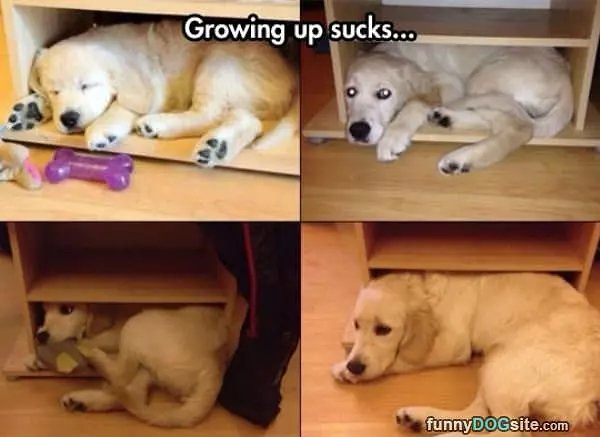 Growing Up