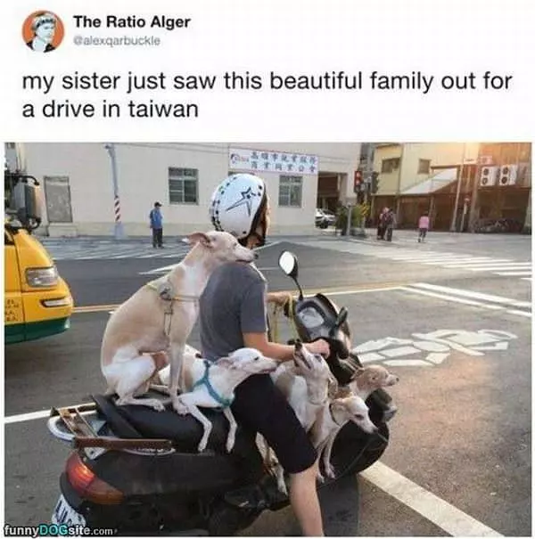 Out For A Ride