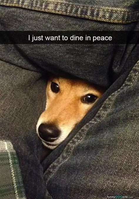 I Want To Dine In Peace