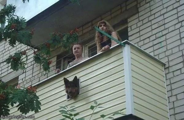Lookout Post
