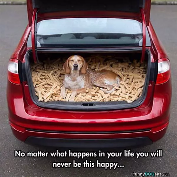 No Matter What Happens