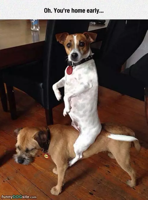 When Humans Are Away