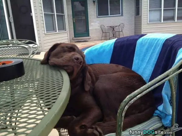 Sleep Where I Want
