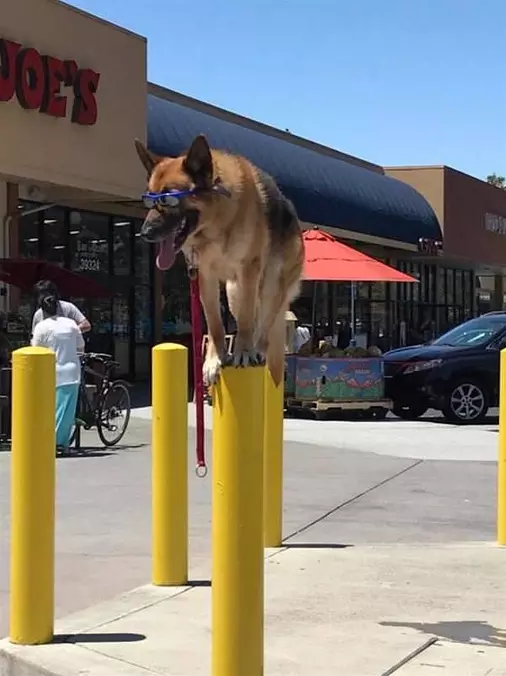 A Balancing Act