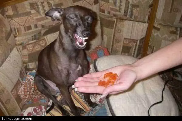 Do Not Want Those