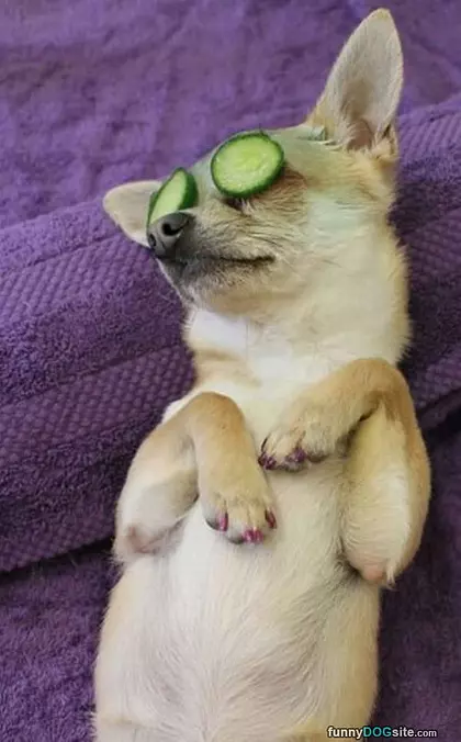 Resting My Eyes